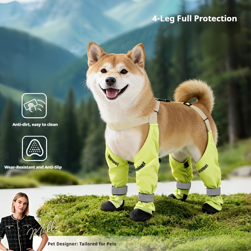 انشطة اللعب والمشي